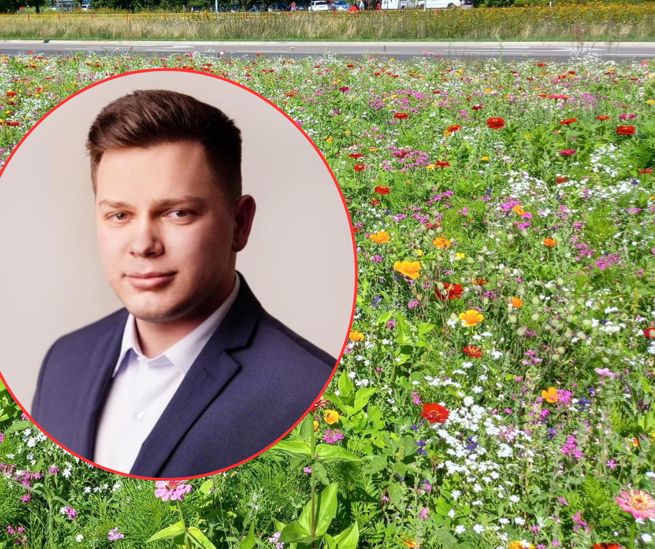 Rusza projekt łąk kwietnych w Ostrołęce! [ZDJĘCIA]