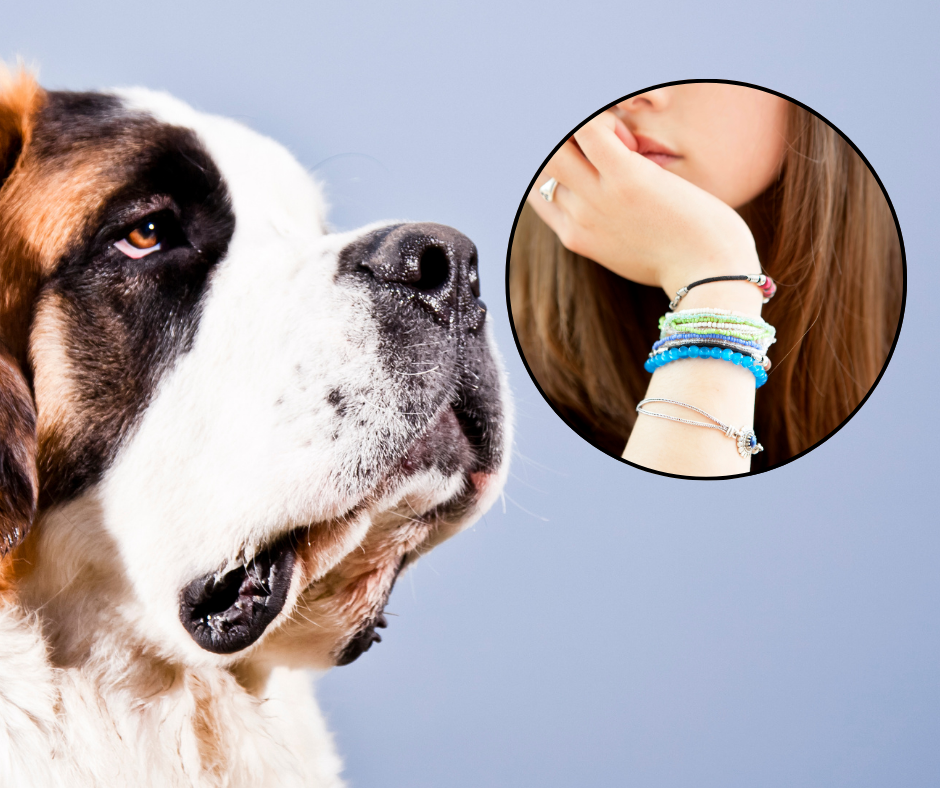 Agresywny pies zaatakował 11-latkę. Sprawę bada prokuratura