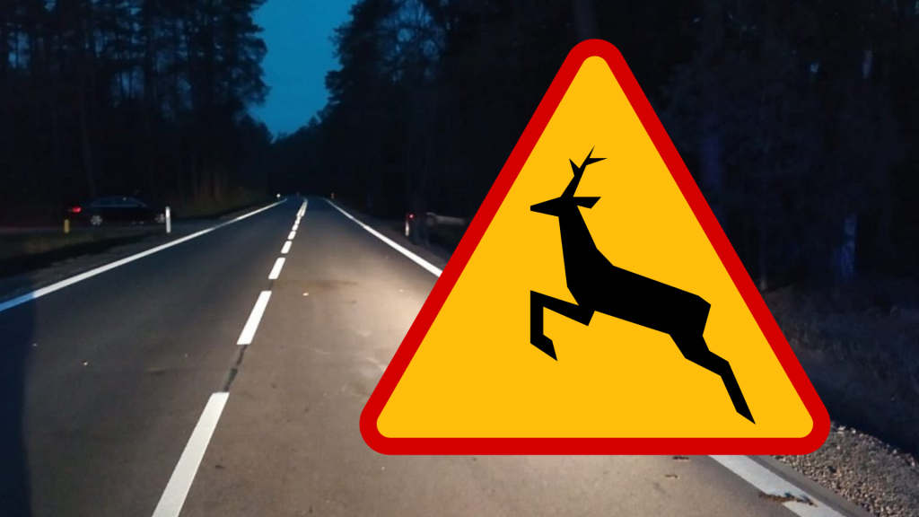 Dachowanie zamiast zderzenia. Pięć osób w szpitalu po gwałtownym manewrze