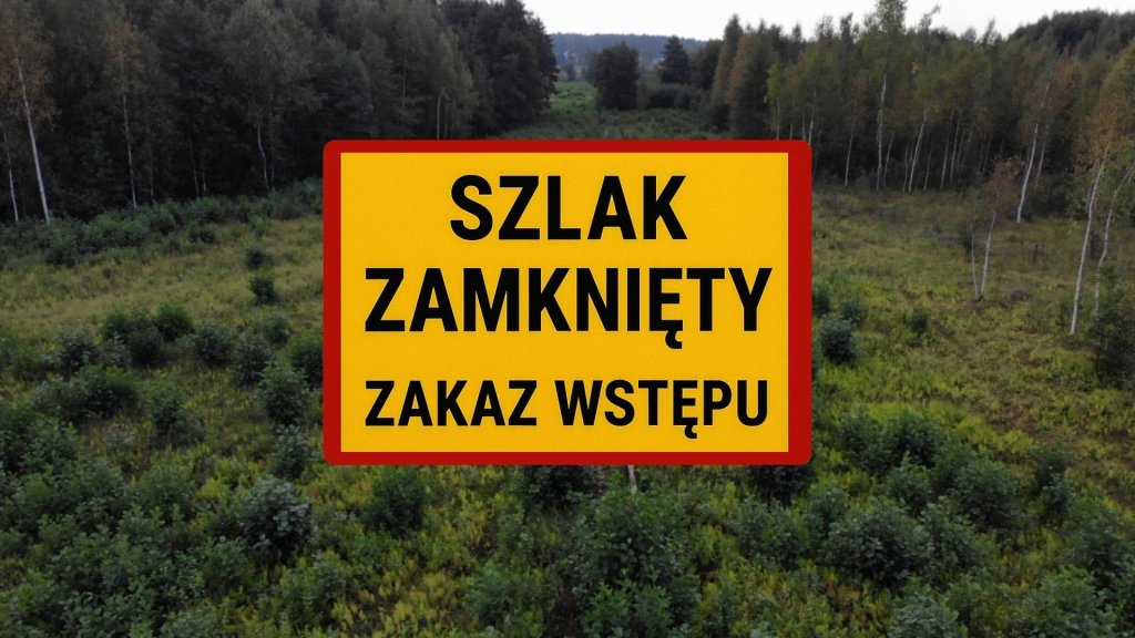 zdjęcie ilustracyjne