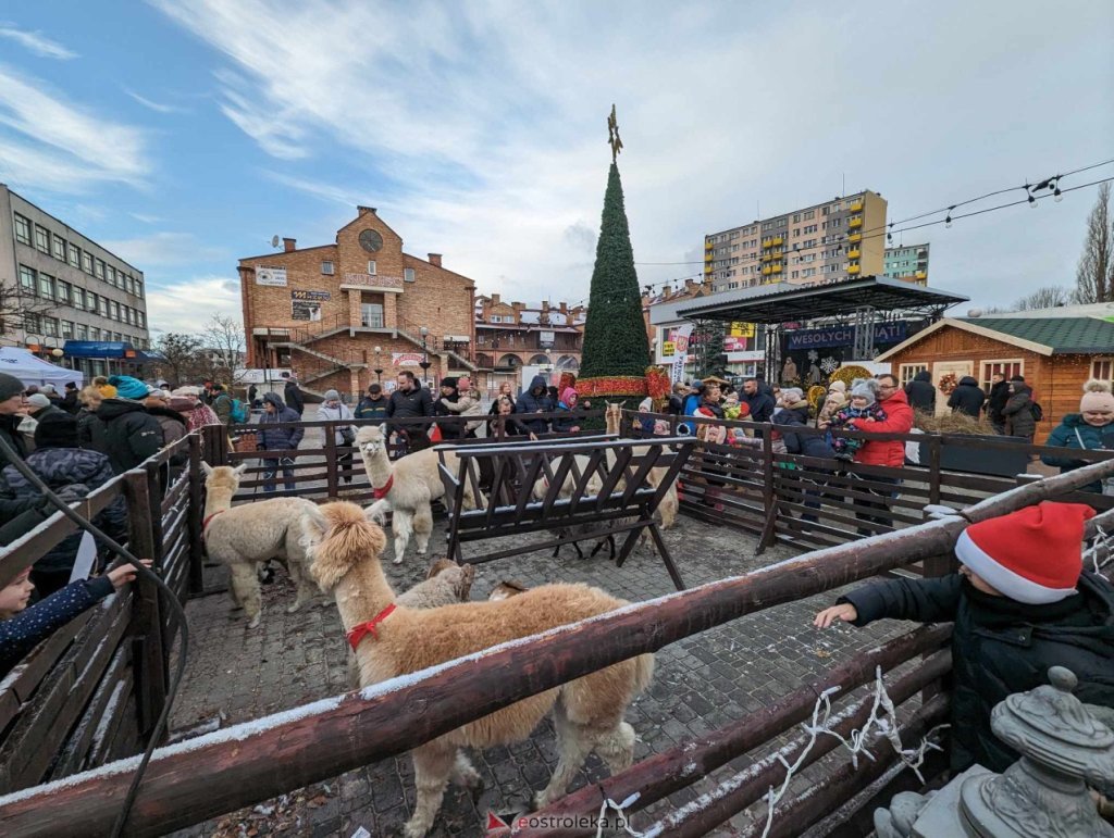Wigilia Miejska w Ostrołęce: Znamy datę tegorocznego spotkania na Placu Wolności