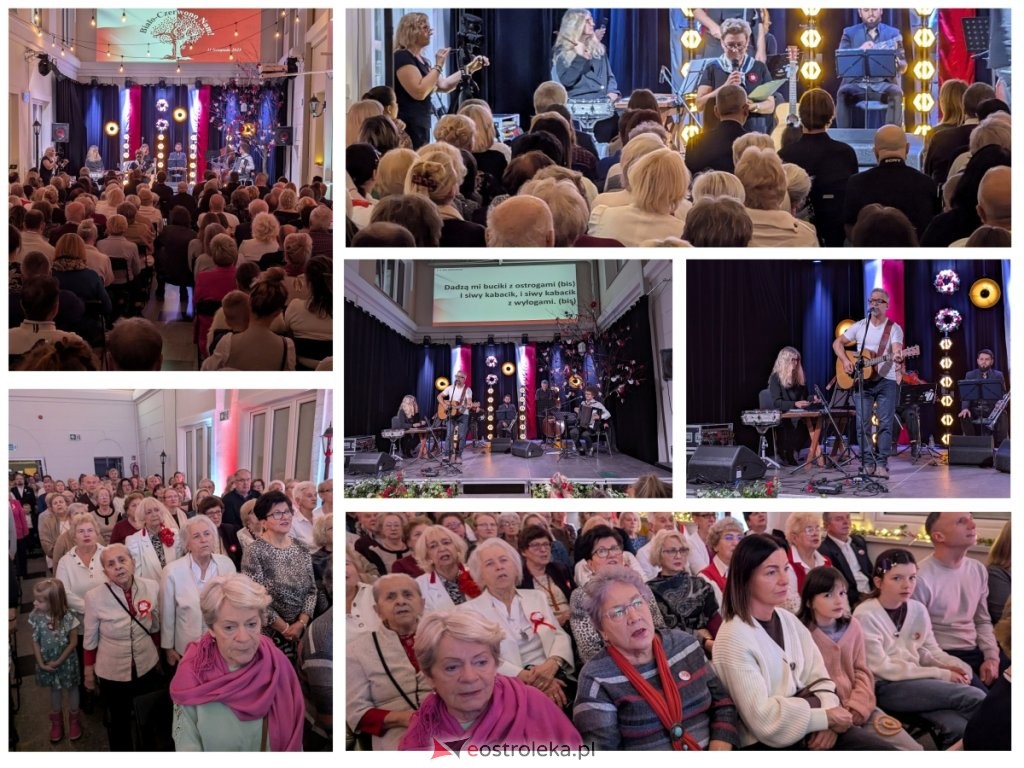 Święto Niepodległości w Ostrołęce: Tłumy na wspólnym śpiewaniu pieśni patriotycznych w Muzeum Kultury Kurpiowskiej! [WIDEO, ZDJĘCIA]