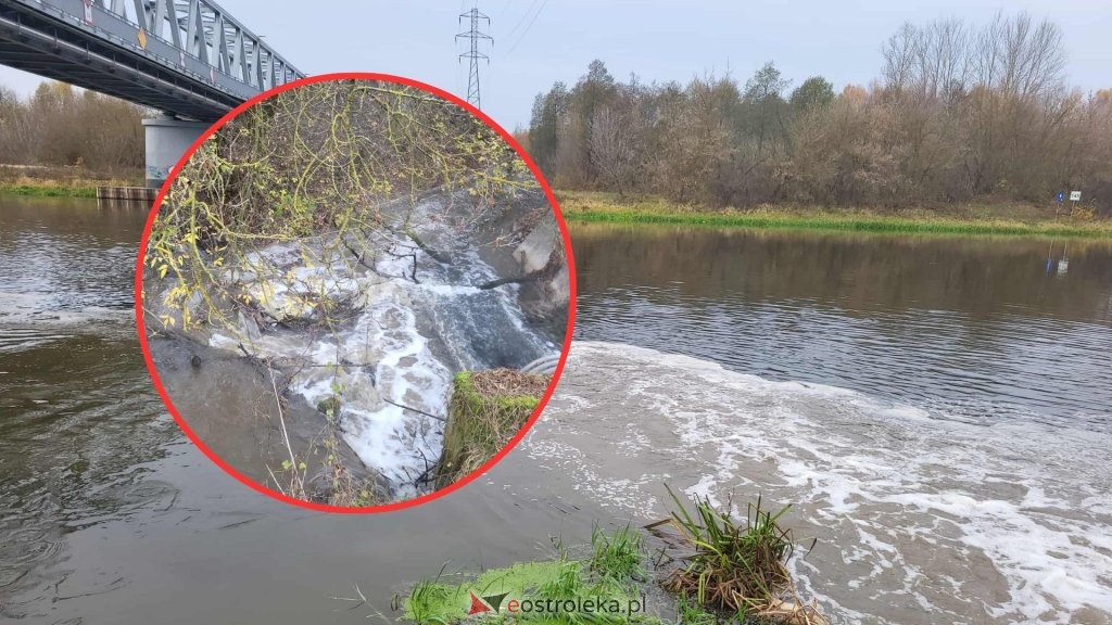 Ekologiczny alarm nad Narwią. Rzeka znów zanieczyszczona, służby na miejscu [ZDJĘCIA]