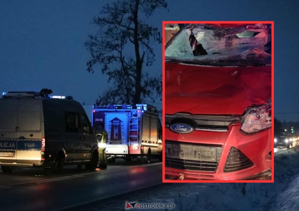 Groźny weekend na drogach powiatu ostrołęckiego. Seria zderzeń z dziką zwierzyną