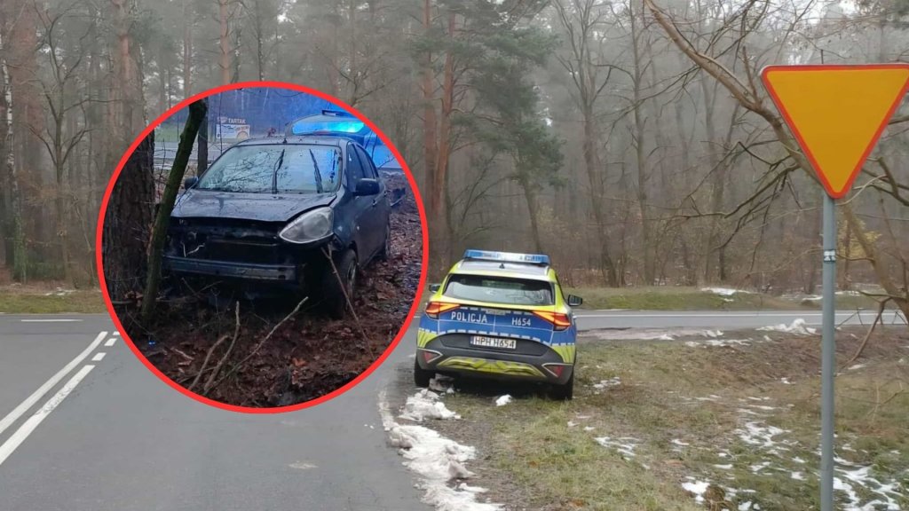 Groźny wypadek o świcie. 47-latka uderzyła Nissanem w drzewo i trafiła do szpitala [ZDJĘCIA]