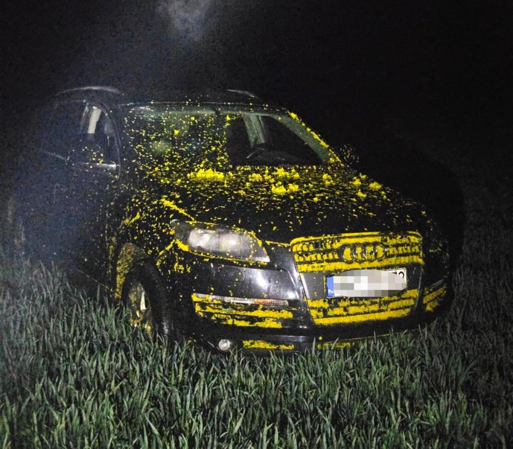 Wielki plan i Audi w rzepaku. Zgłosiła kradzież, by chronić partnera, teraz oboje mają problem