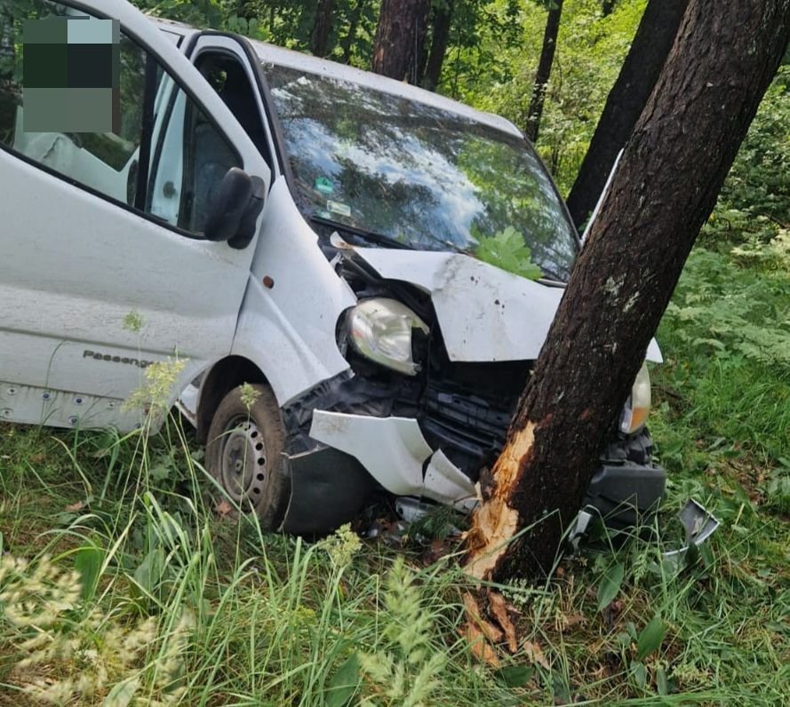 Chwila nieuwagi mogła zakończyć się tragedią. Dostawcze renault uderzyło w drzewo