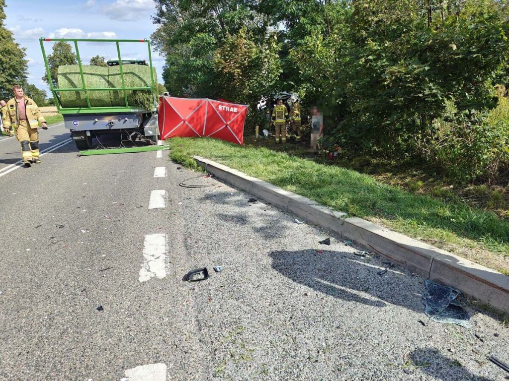Tragedia na drodze. Nie żyje 29-letni kierowca Tesli [ZDJĘCIA]