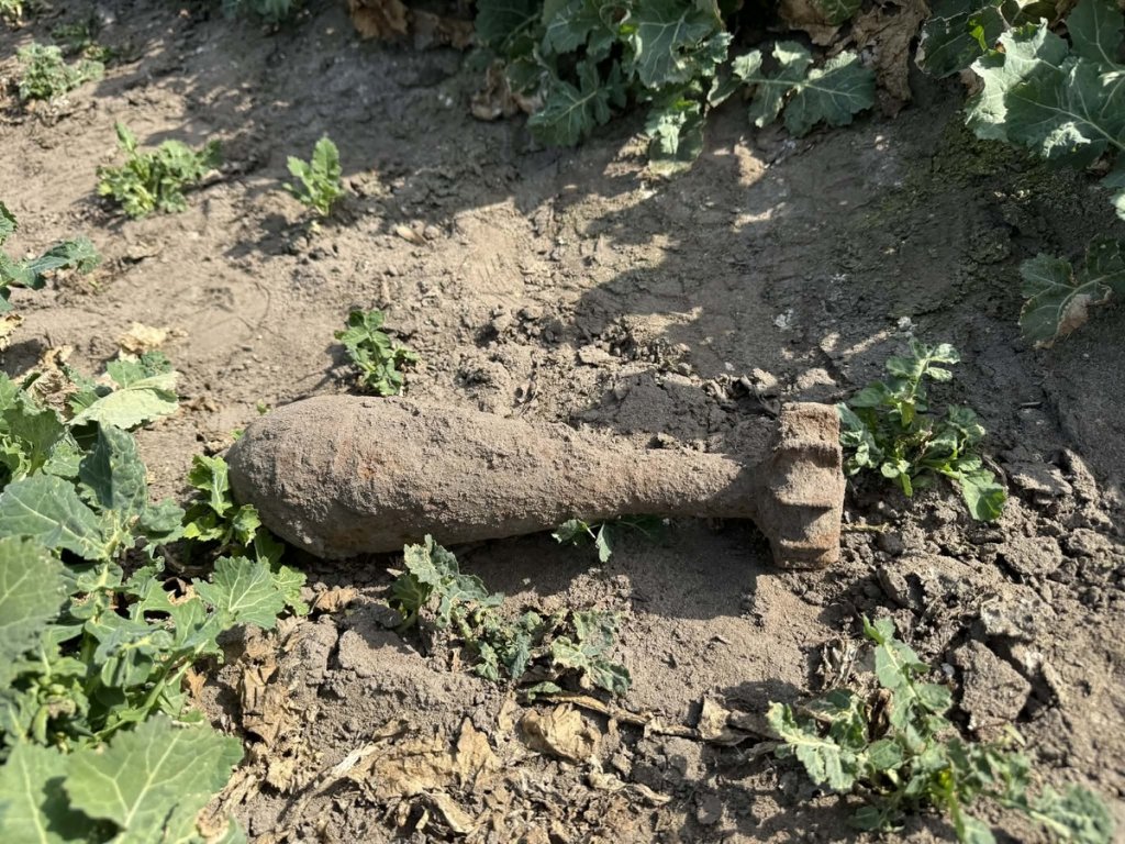 Takie znalezisko może przerazić. 35-latek natknął się na to na polu!