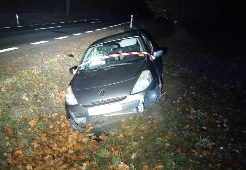 Renault w rowie, pijany Peruwiańczyk za kierownicą. Policjanci odkryli znacznie więcej!