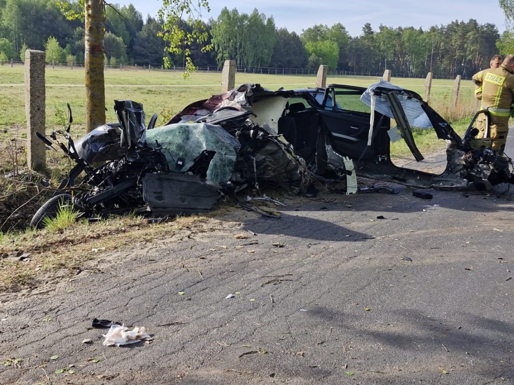Tragiczny wypadek. Niespodziewany gość na jezdni doprowadził do dramatu