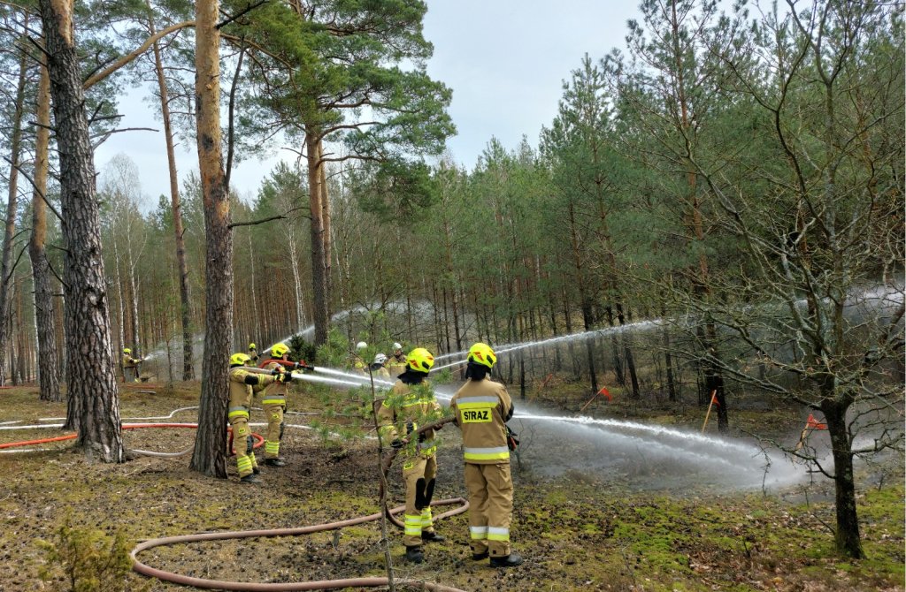 Kłęby dymu nad gminą Olszewo-Borki! Płonął las, do akcji ruszyły potężne siły! [ZDJĘCIA]