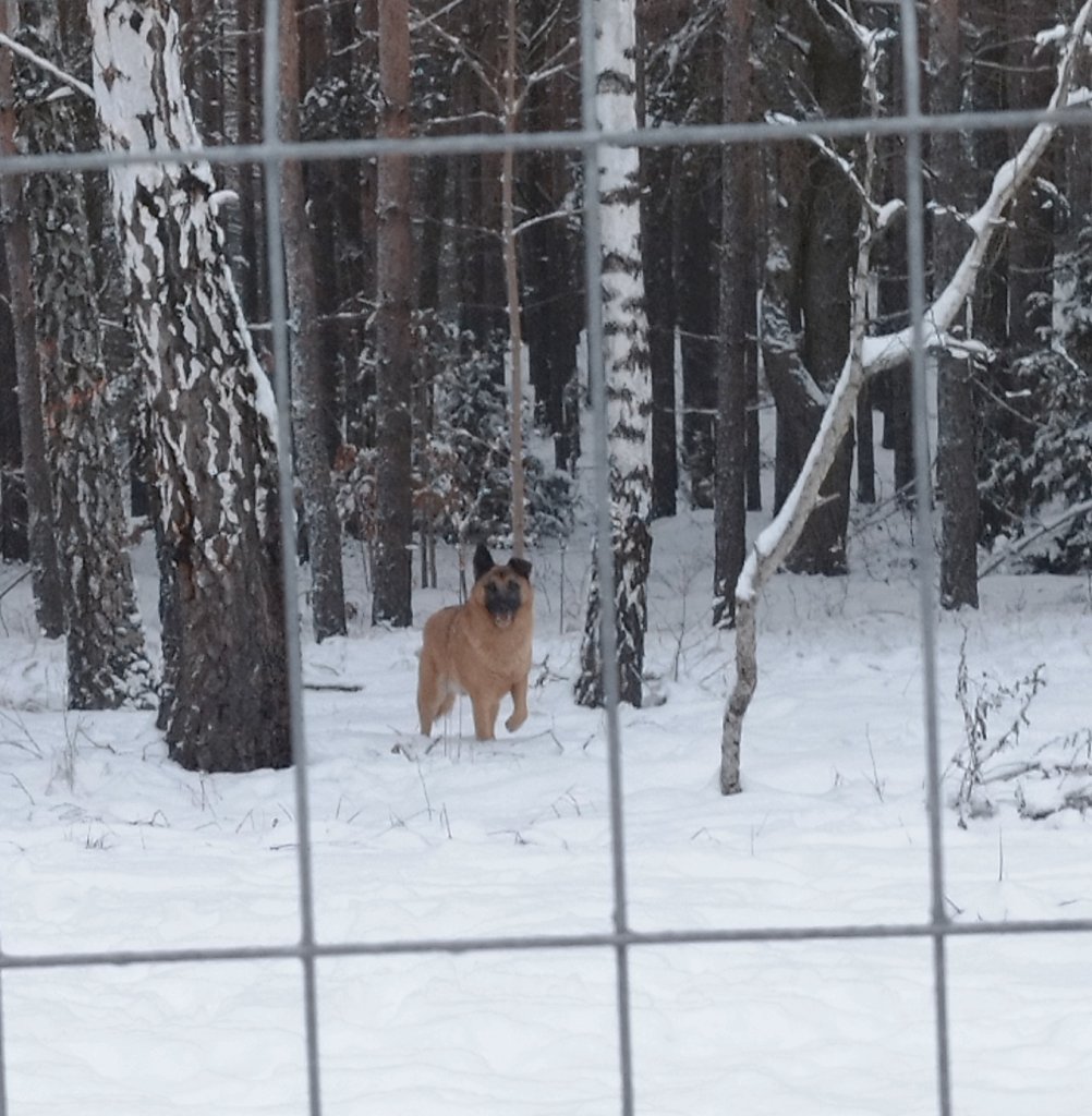 fot. Urząd Gminy w Olszewie-Borkach