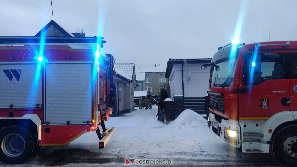 Ogień na ul. Ogrodowej. Żywopłot w płomieniach, zagrożony budynek mieszkalny [ZDJĘCIA]