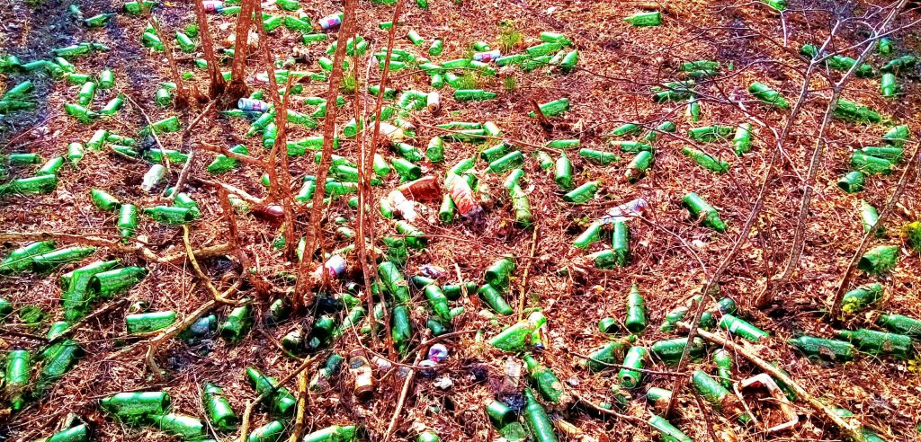 ulica Zielona w Ostrołęce, fot. Czytelnik