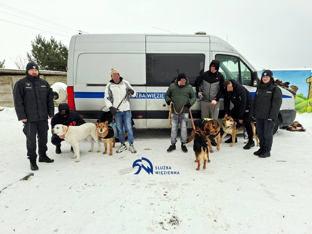 Osadzeni z Przytuł Starych w schronisku Canis. Spacery i koce dla psów [ZDJĘCIA]