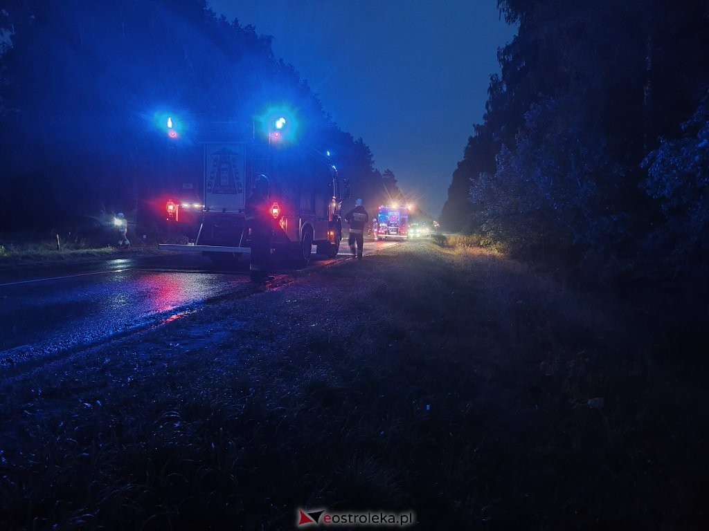 Strażacy w akcji, właściciela brak. Nietypowy pożar na krajowej 60 [ZDJĘCIA]