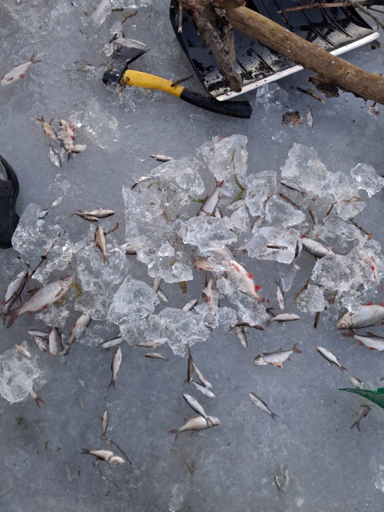 fot. OSP Ostrołęka