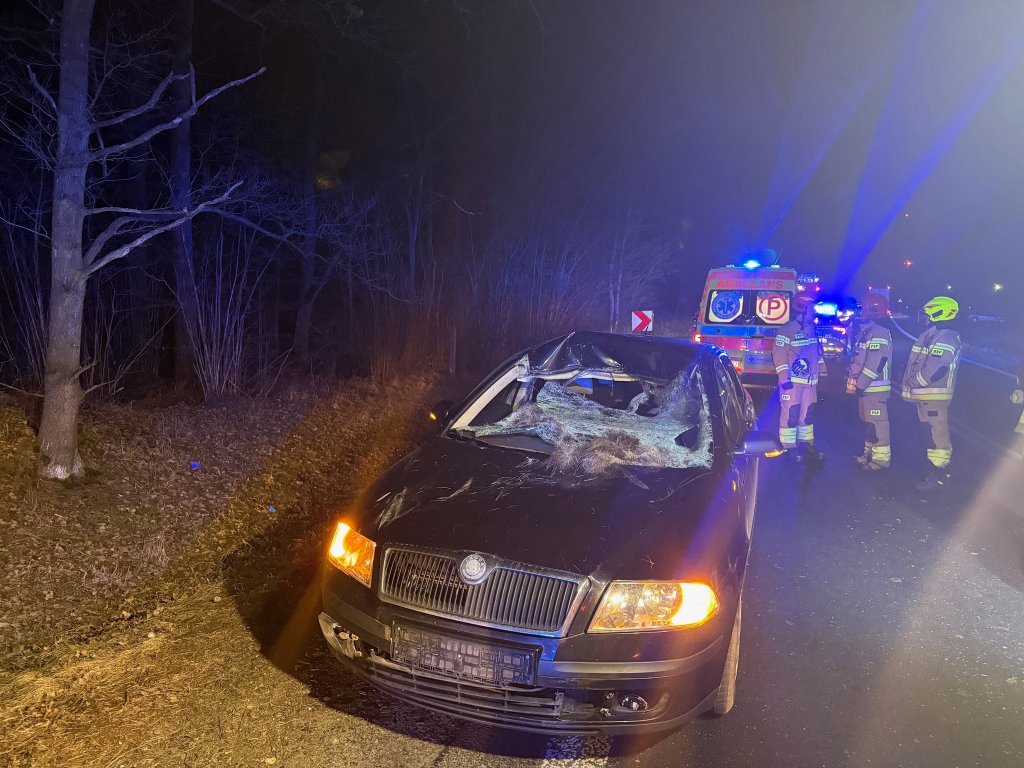 Poważny wypadek w Sadykierzu: Samochód uderzył w łosia [ZDJĘCIA]