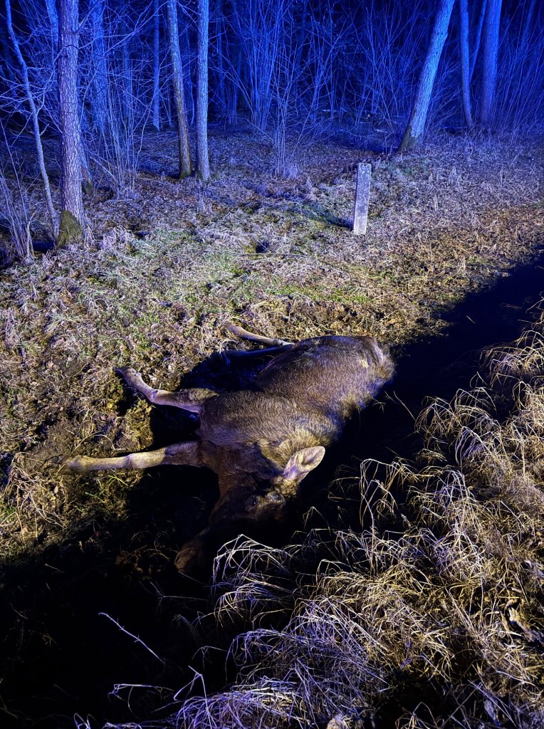 fot. Komenda Powiatowa Państwowej Straży Pożarnej w Makowie Mazowieckim