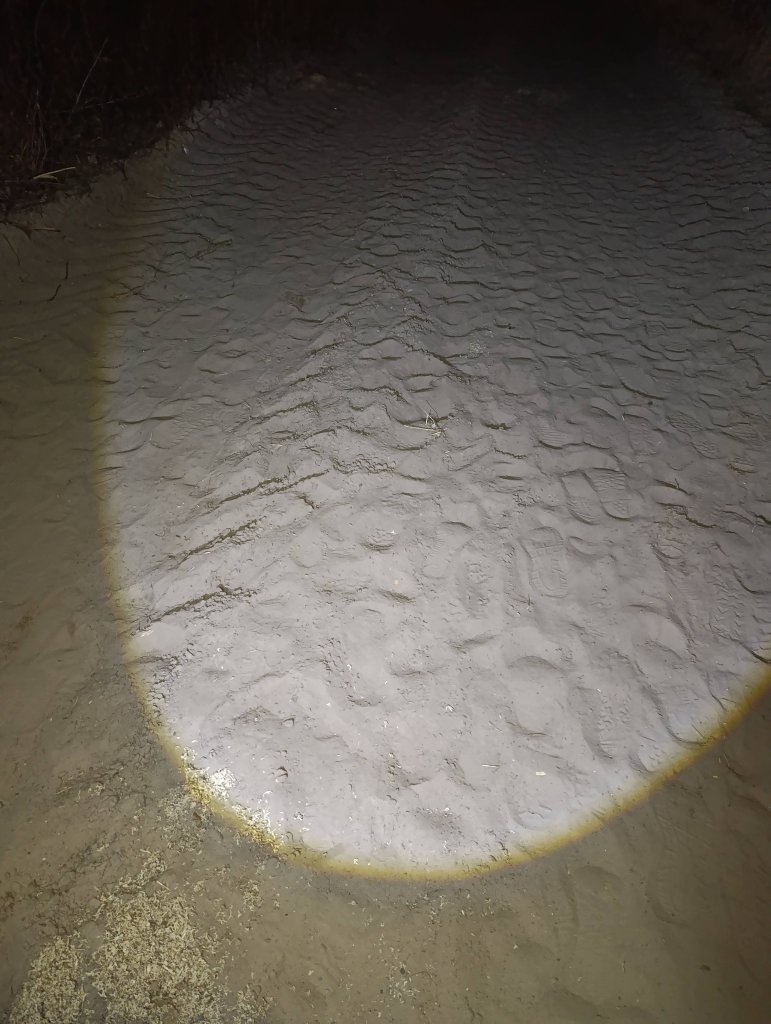 fot. Parafia pw. Chrystusa Kr&oacute;la Wszechświata w Łysych