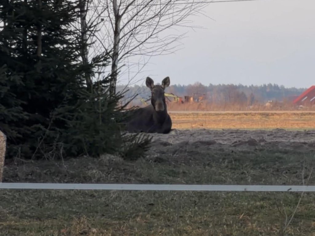 fot. facebook.pl/Otwarte Wrota