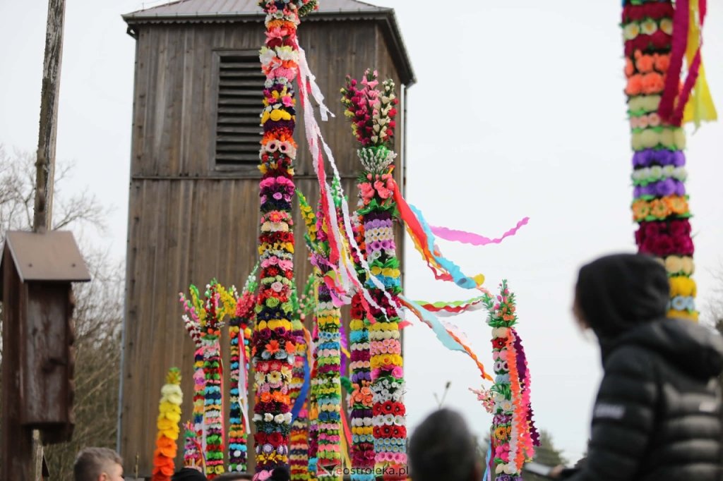 Niedziela Palmowa w Łysych 2026. Znamy zwycięzców 56. Konkursu „Palma Kurpiowska”