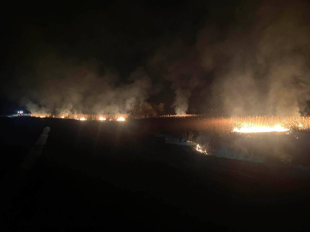 Ogromny pożar trzcin w miejscowości Czernie