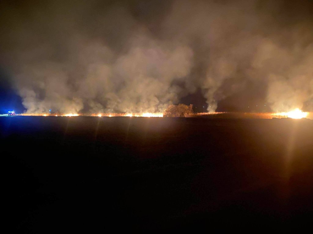 Dramatyczny pożar w Czerniach! Ogromne płomienie i nocna walka strażaków [ZDJĘCIA]