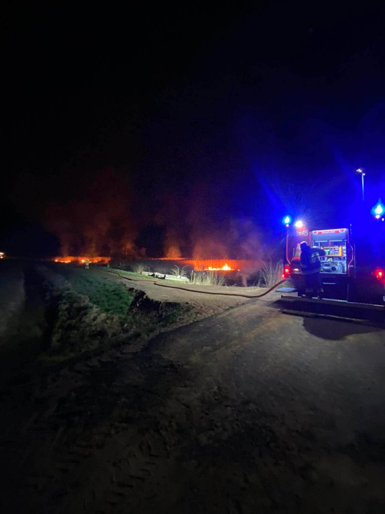 Ogromny pożar trzcin w miejscowości Czernie