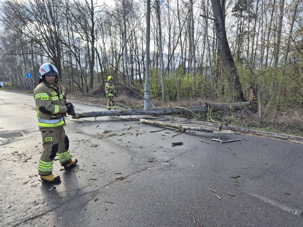 Silny wiatr nad Ostrołęką. Strażacy usuwali powalone drzewo na Alei Jana Pawła II [ZDĘCIA]