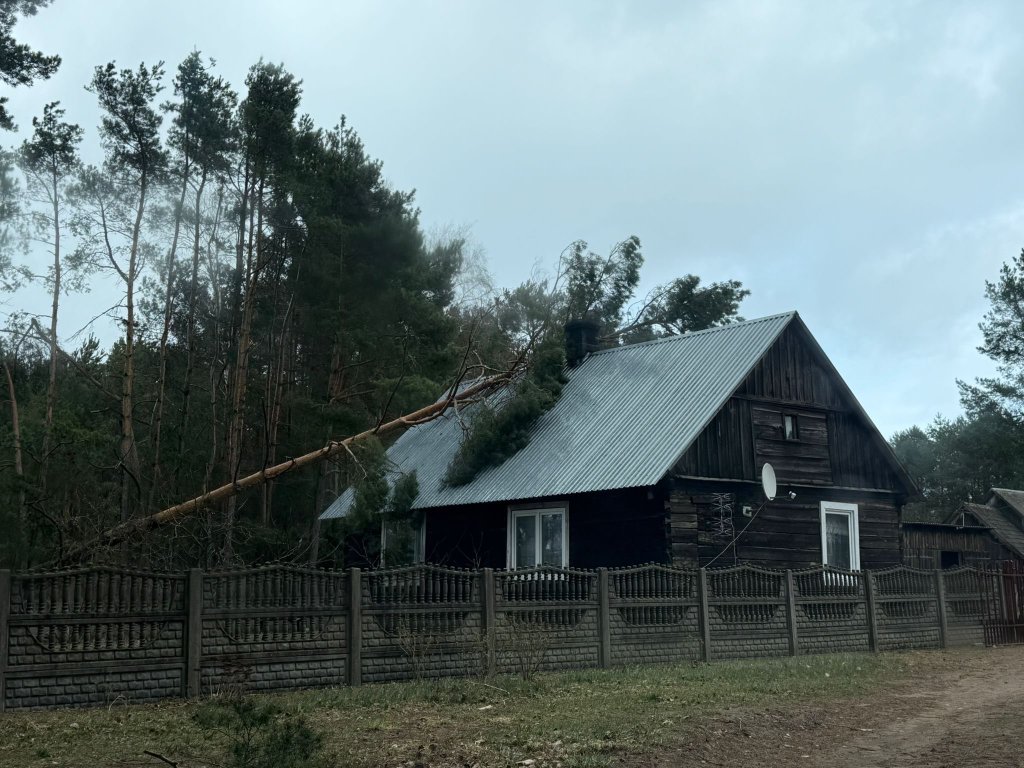 Drzewo runęło na dom. Interwencja strażaków z OSP [ZDJĘCIA]