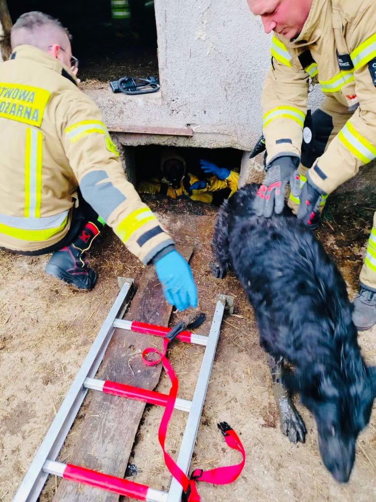 fot. Komenda Miejska Państwowej Straży Pożarnej w Łomży