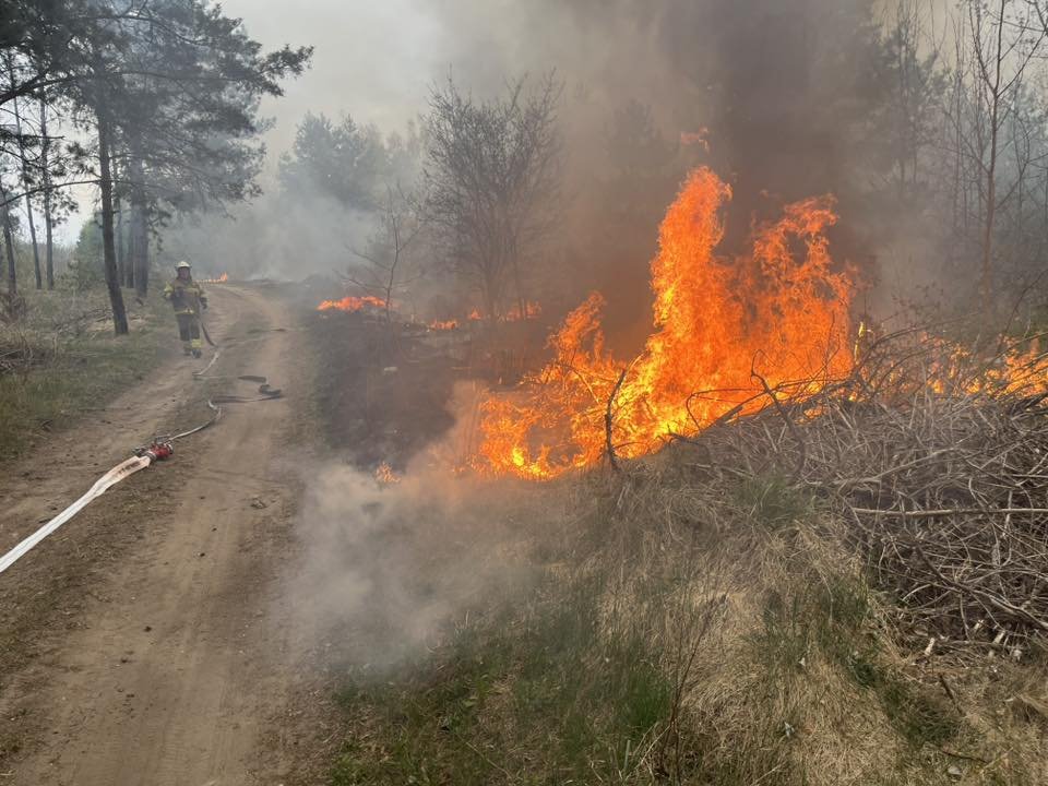 Groźny pożar w miejscowości Kaczka. Strażacy w walce z żywiołem [ZDJĘCIA]