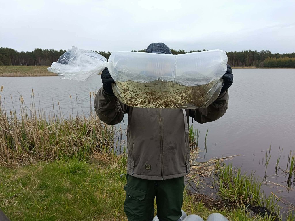 fot. Koło PZW nr 38 Narew Ostrołęka