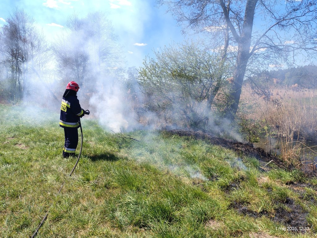 Pożar nad brzegiem rzeki Orz: Interwencja strażaków w Ponikwi Dużej [FOTO]
