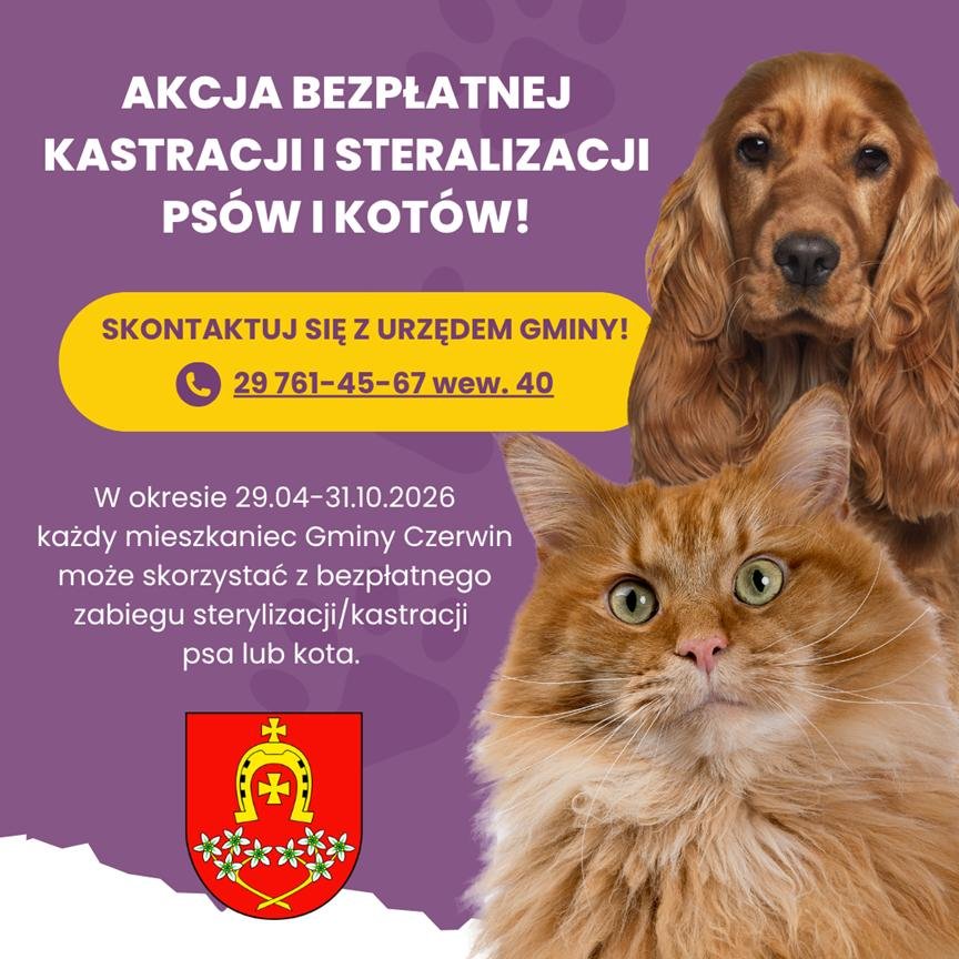 Darmowa kastracja i czipowanie zwierząt w Czerwinie. Sprawdź, jak się zgłosić