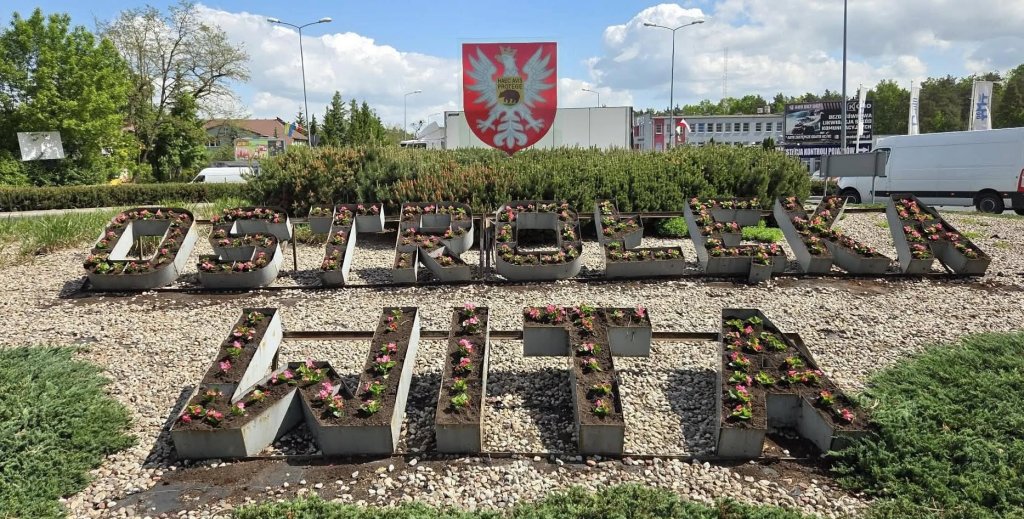 Ostrołęka upiększona! Pojawiły się kolejne kwietne kompozycje [ZDJĘCIA]