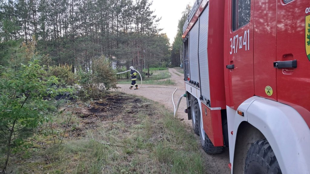 Piekielny upał i pożar lasu. W akcji strażacy z kilku jednostek [ZDJĘCIA]