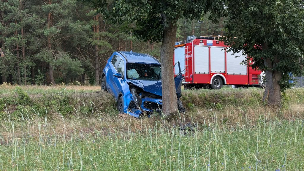 Wypadek w gminie Olszewo-Borki. Auto rozbite na drzewie [ZDJĘCIA]