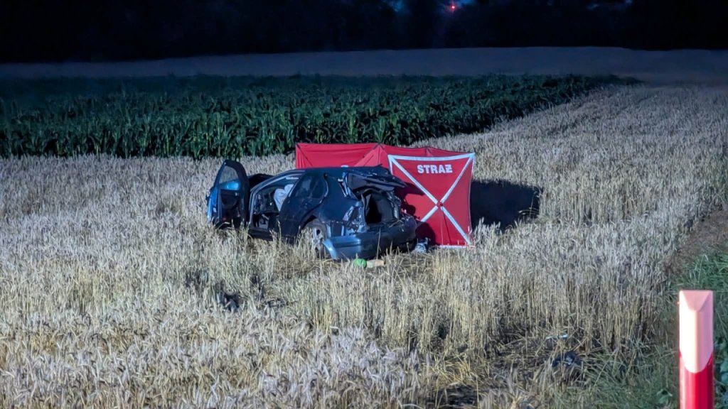 Śmiertelny wypadek w Grucelach. Trwa śledztwo ws. tragedii na torach [WIDEO, ZDJĘCIA]