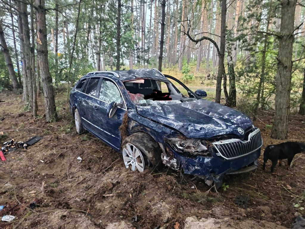 Rozbita osobówka i ranna osoba. Służby ratunkowe w akcji tuż przed świtem [ZDJĘCIA]