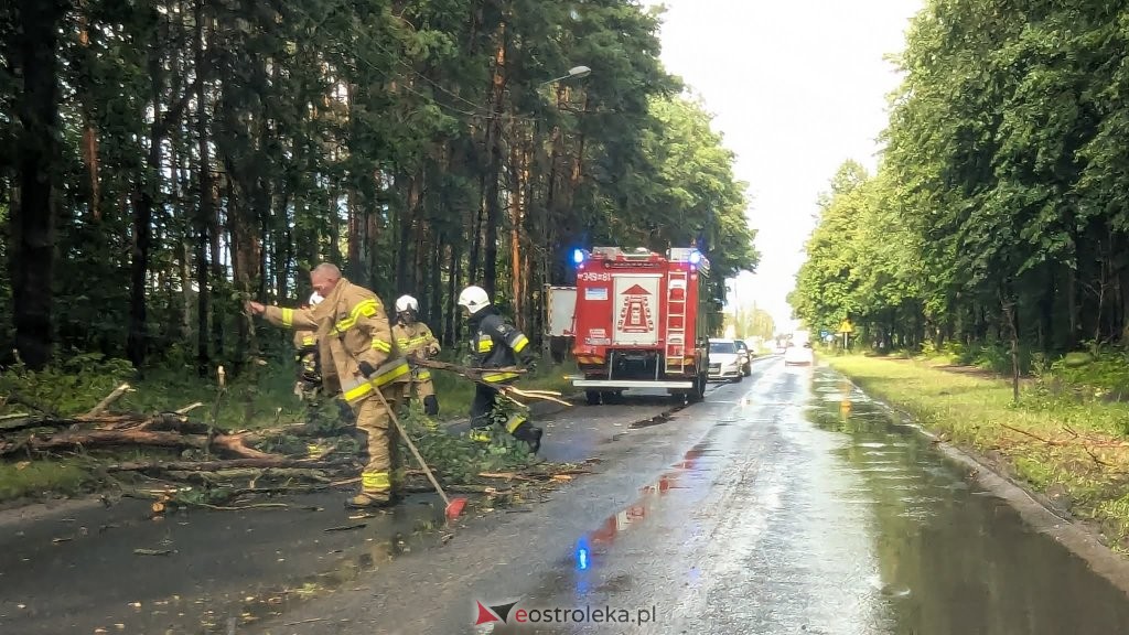 Żywioł nie oszczędził Ostrołęki. Strażacy i energetycy interweniowali po burzy [ZDJĘCIA]