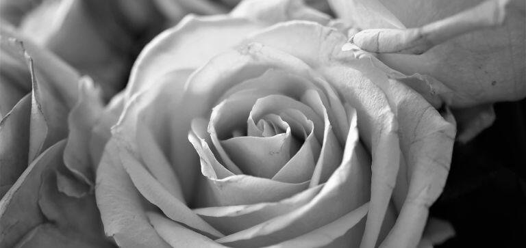 Mieszkańcy i samorząd gminy Olszewo-Borki żegnają śp. Hannę Grądzką