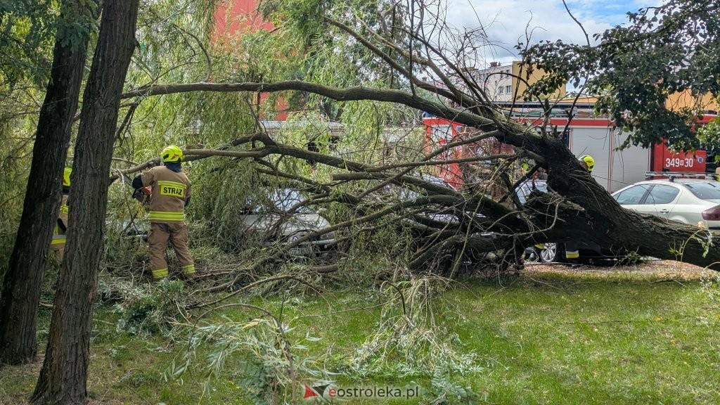 Potężna wichura spustoszyła region. Aż 70 interwencji służb [ZDJĘCIA]