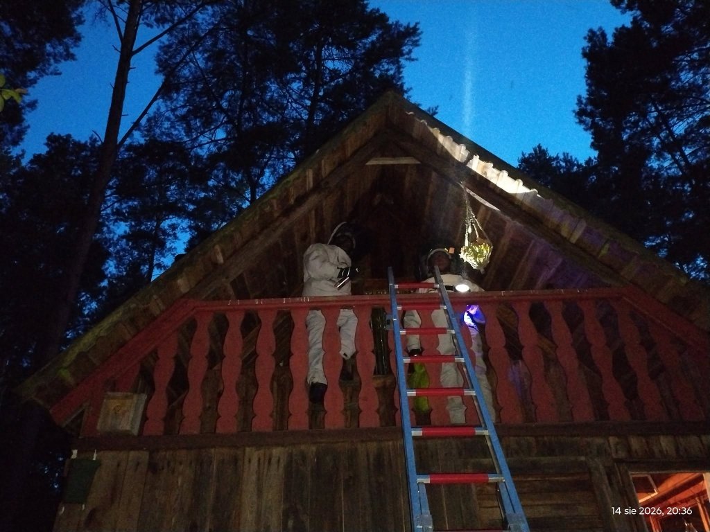Nieproszeni „lokatorzy” pod dachem. Strażacy ruszyli do akcji [ZDJĘCIA]