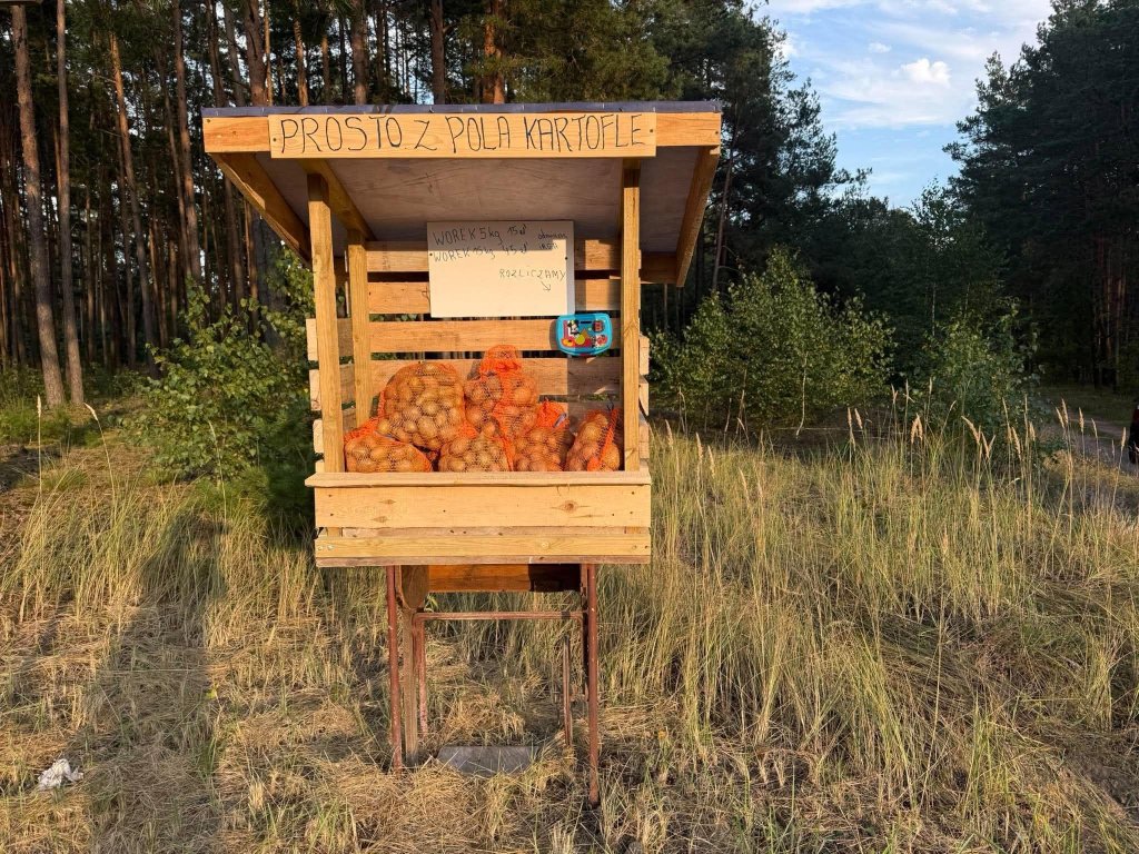 "Prosto z pola". Niecodzienna budka przy wejściu do lasu [WIDEO, ZDJĘCIA]