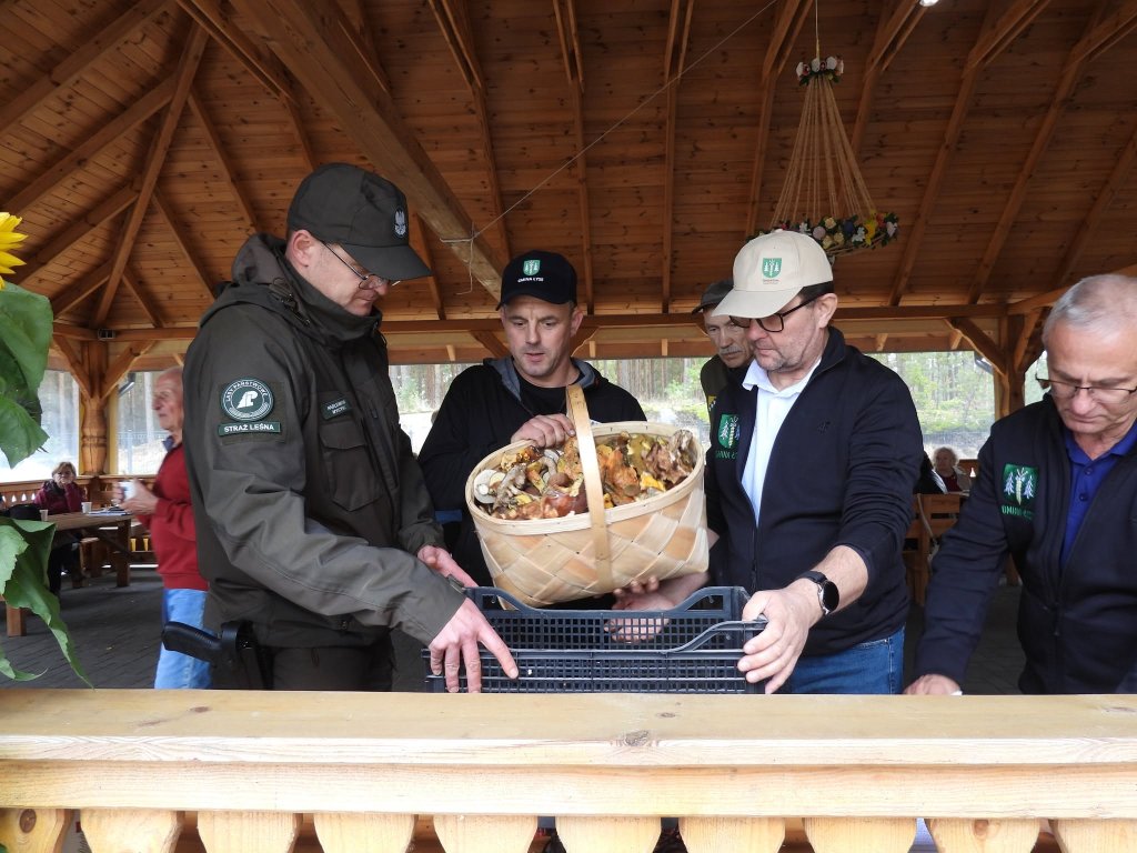 Ale zbiory! Ponad 36 kg grzybów dla najlepszej drużyny. Kurpiowskie Grzybobranie za nami [ZDJĘCIA]