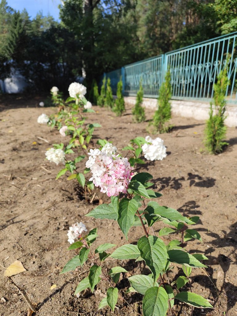 fot. Gmina Czerwin