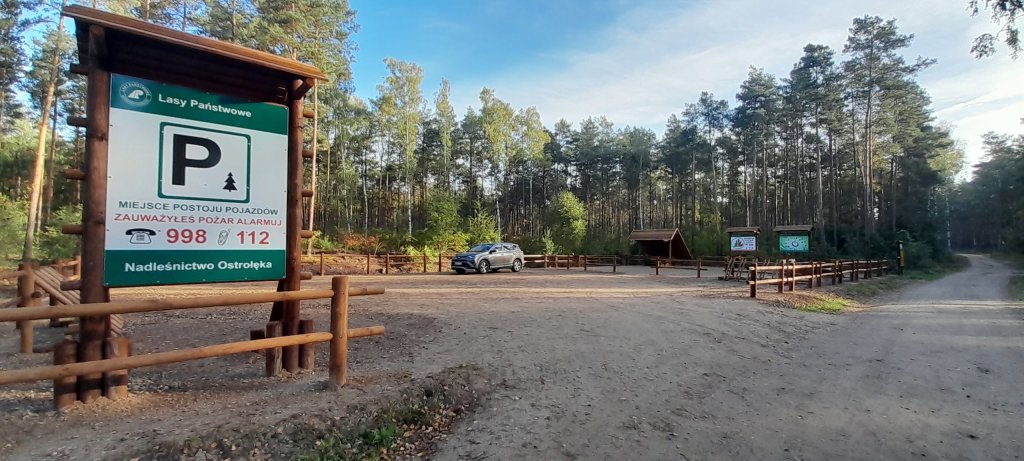 fot. Nadleśnictwo Ostrołęka